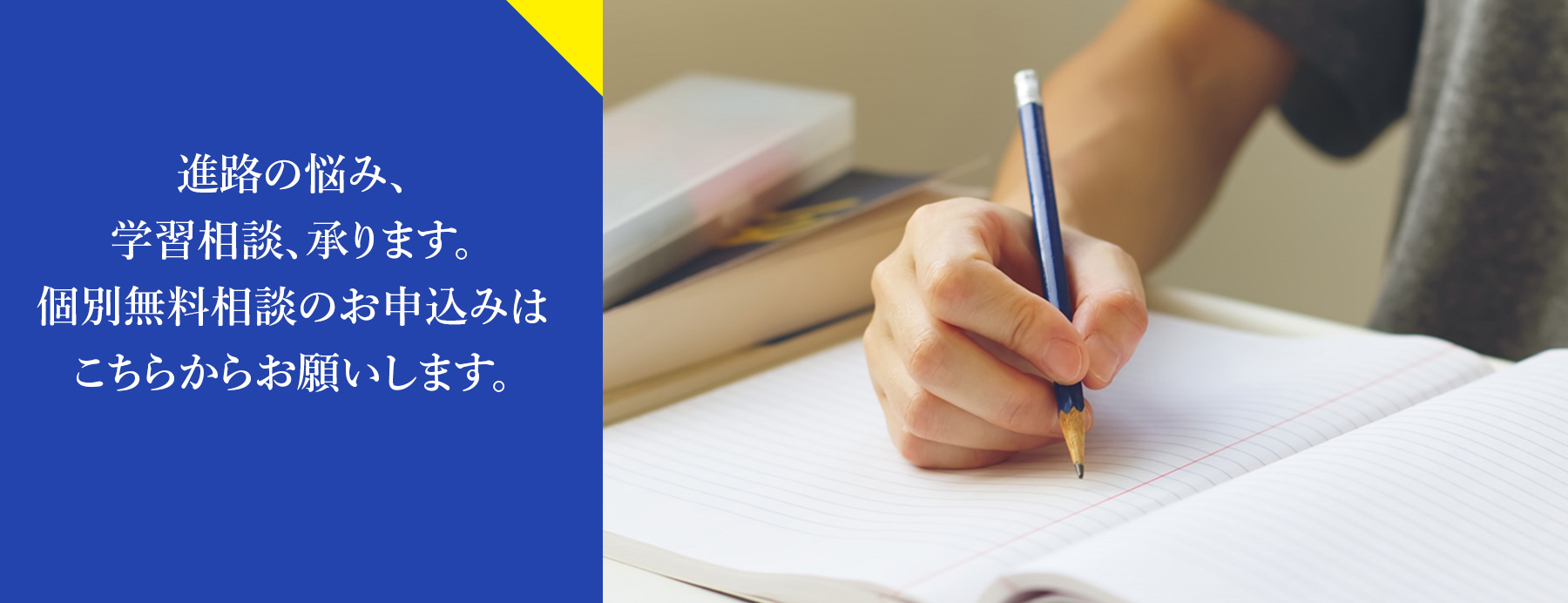 個別無料相談申込み 東大、早稲田、医学部など難関大合格は橋本の進学塾・予備校ハシケンHASHIKEN